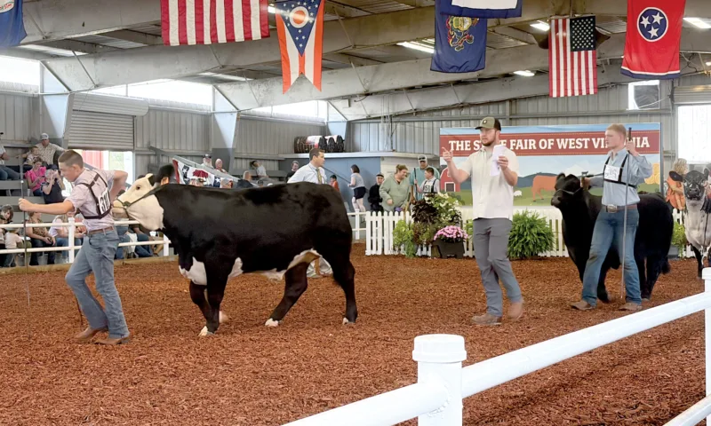 Scenes from the WV State Fair